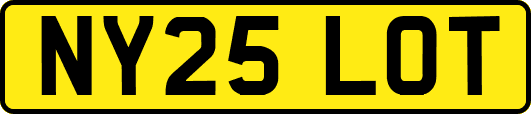 NY25LOT