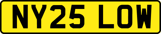 NY25LOW