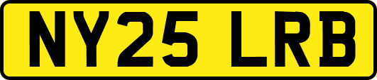 NY25LRB
