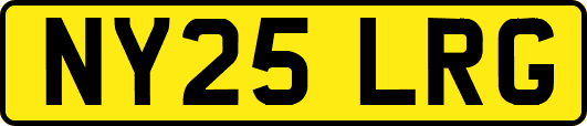NY25LRG