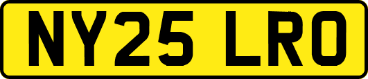 NY25LRO