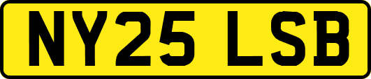 NY25LSB