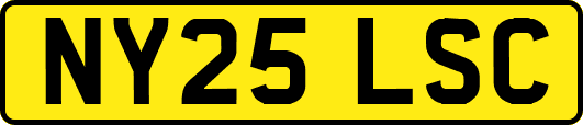 NY25LSC