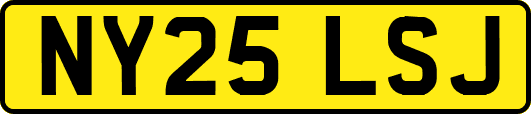 NY25LSJ