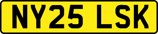 NY25LSK