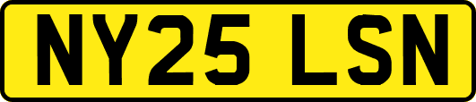 NY25LSN