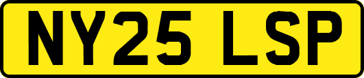 NY25LSP
