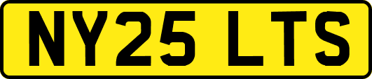 NY25LTS