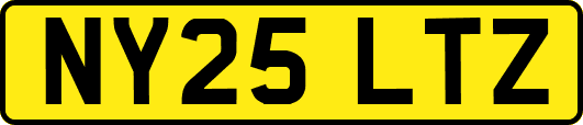 NY25LTZ