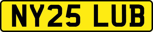 NY25LUB