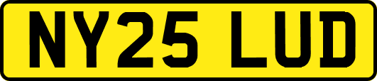 NY25LUD