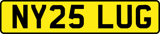 NY25LUG