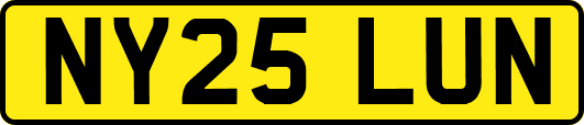 NY25LUN