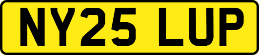NY25LUP