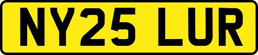 NY25LUR