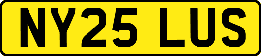 NY25LUS
