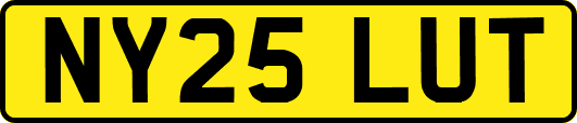 NY25LUT