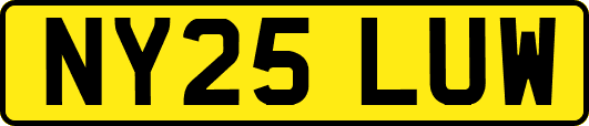 NY25LUW