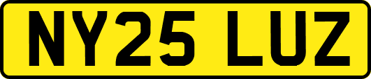 NY25LUZ