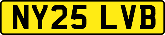 NY25LVB