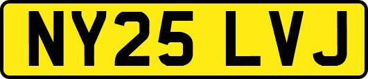 NY25LVJ