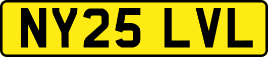 NY25LVL