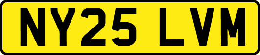 NY25LVM