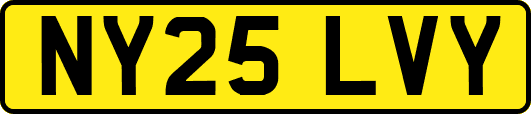 NY25LVY