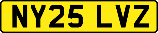 NY25LVZ