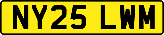 NY25LWM
