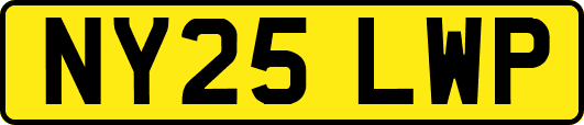 NY25LWP