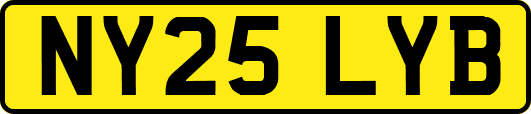 NY25LYB
