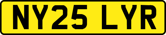 NY25LYR