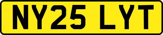 NY25LYT