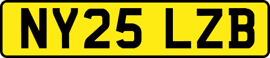NY25LZB