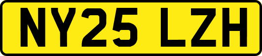 NY25LZH