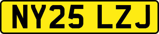 NY25LZJ
