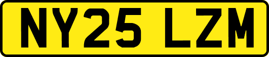 NY25LZM