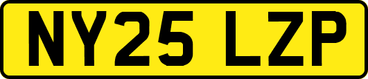 NY25LZP