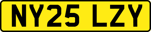 NY25LZY