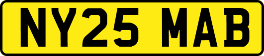 NY25MAB