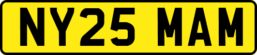 NY25MAM