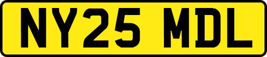 NY25MDL