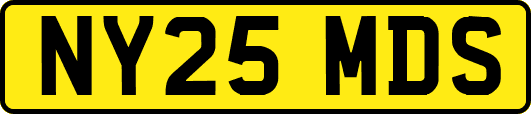 NY25MDS