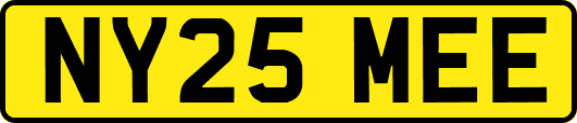 NY25MEE