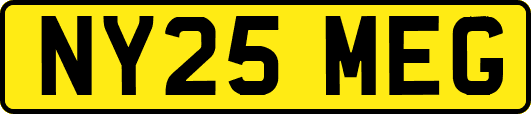 NY25MEG