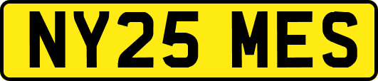 NY25MES