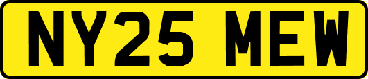 NY25MEW