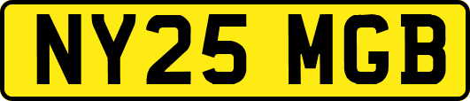 NY25MGB
