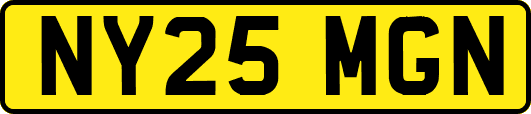 NY25MGN